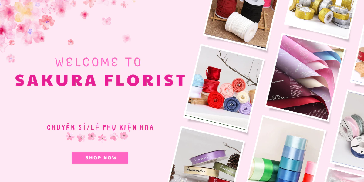 chuyen si le phu kien hoa sakura