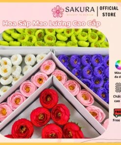 Hoa Sáp Mao Lương Cao Cấp