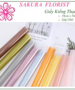 Giấy Kiếng Thạch Màu Trong Suốt